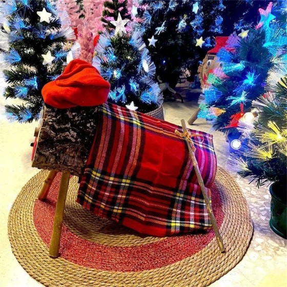 Tronco de Navidad: Diversos Tamaños y Accesorios, PlusHome CAGA TIÓ y 