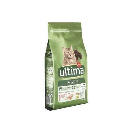 copy of copy of copy of Comida para Gatos Junior Ultima