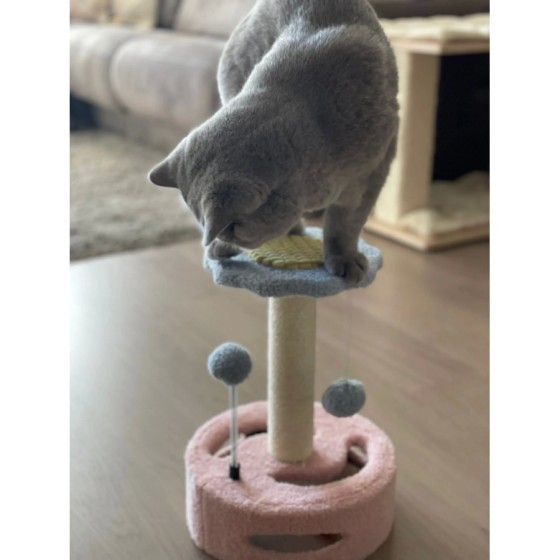 EL ÁTICO PETS Arbol Rascador para Gatos. Rascador Gato Pequeño de 35 C