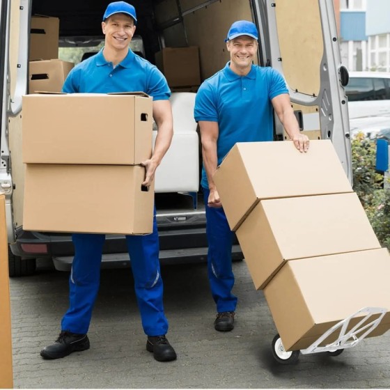 Carretilla de Mano para Transportar Materiales - Plegable y Fácil Tran